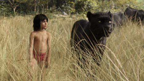 The Jungle Book: Ab in den Urwald - Wir haben die Realverfilmung auf Blu-ray und DVD getestet