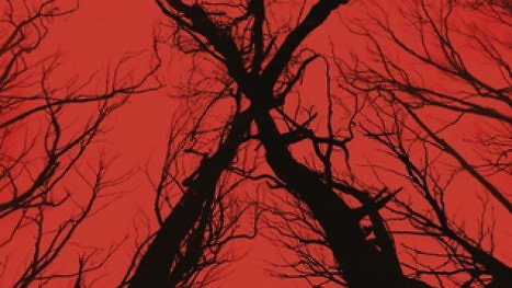 Blair Witch kehrt zurück: Der Kult-Horror bekommt ein Reboot