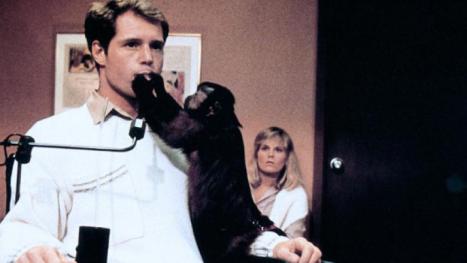 Gebt dem Affen Zucker: 8 Filme mit gefährlichen Primaten
