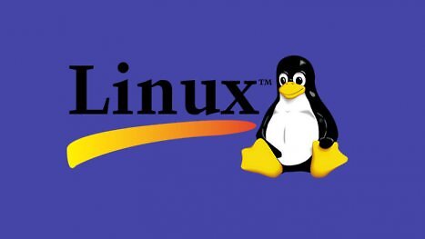 Linux als Alternative: Intel stellt Linux-Projekt ein - trotz steigender Nutzerzahlen