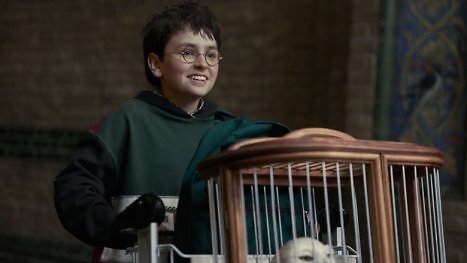 Harry Potter bei HBO: Endlich steht fest, wer Peeves verkörpert