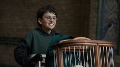 Paramount sichert sich Harry-Potter-Rechte - während HBO zum Übernahmeziel wird
