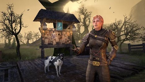TESO: Gefallen und mehr - darum lohnt sich das Erkunden in Saison Eins