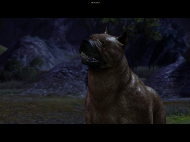 Der Mabari-Hund aus Dragon Age: Origins.