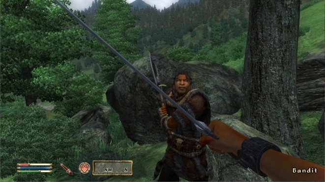 Die Kämpfe tragt ihr auch in The Elder Scrolls 4: Oblivion am besten in der Ego-Perspektive aus.