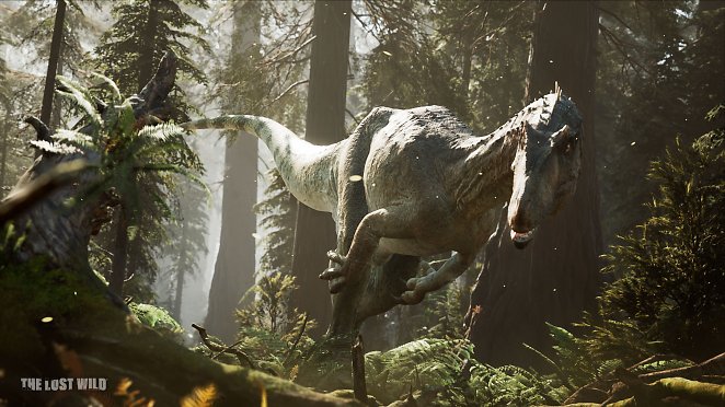 Survival Spiele 2024: Das sind die Highlights des kommenden Jahres im Überblick!