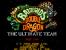 Das SNES-Game <strong>Battletoads & Double Dragon: The Ultimate Team</strong> vereinte zwei der damals wohl besten Sidescrolling-Beat'em Up's: Technos Japans Double Dragon und Rares Battletoads. Der Spieler hatte somit die Auswahl aus fünf Charakteren Billy und Jimmy Lee von Double Dragon oder Zitz, Pimple und Rash von Battletoads. Diese Mischung konnte nur von Erfolg gekrönt werden.