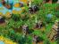 Clan-Siedeln per BBGC - mit dem Patch kein Problem mehr.