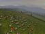 Medieval: Total War - in der Demo dürfen Sie eine Einzelspieler-Mission testen.