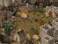 Stronghold - in dieseer Demo kann der Multiplayer-Modus angetestet werden.