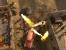 <strong>Test zu Codename: Panzers&nbsp;</strong>(I (4)