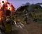15.Warhammer 40.000: Dawn of War 2 (188.000 Abrufe)