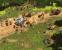 19. Age of Empires 3 Gold