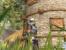 Divinity 2: Ego Draconis (2)