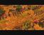 Age of Empires 3: Test des Historienspektakels (5)