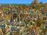 <strong>Anno 1701</strong> ist die Perle des Aufbau-Strategie-Genres. Der in Deutschland entwickelte Titel schnitt in der Fachpresse sehr gut ab, einzig die fehlende Kampagne ließ Platz für Kritik. 