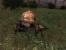 S.T.A.L.K.E.R.: Call of Pripyat: Verseuchte Screenshots zum Add-on erschienen. (67)
