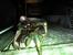 Stalker: Shadow of Chernobyl