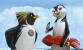 Pinguine können nicht fliegen. Aber können sie surfen?