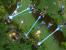 Starcraft-2-Spezial (38)