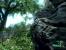 Crysis (Quelle: IGN)