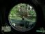 Crysis (Quelle: IGN)