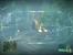 Crysis (Quelle: IGN)
