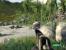 Crysis (Quelle: IGN)