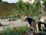 Crysis (Quelle: IGN)