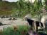 Crysis (Quelle: IGN)