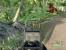Crysis (Quelle: IGN)