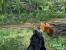 Crysis (Quelle: IGN)