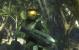 Halo 3