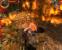 Geralt im Kampf gegen einen feurigen Ifrit.