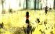 The Path-Screenshot (6)