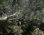 Crysis (Crytek) - Mapdownload: <a class="posRel pe-4" href="http://crymod.com/filebase.php?fileid=1463" target="_blank" rel="noopener " >GDC 06-Jungle<span class="icon extLinkIcon posAbs"></span></a> - Bilderquelle: <a class="posRel pe-4" href="http://www.nvnews.net/" target="_blank" rel="noopener " >nvnews<span class="icon extLinkIcon posAbs"></span></a>