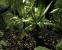 Crysis (Crytek) - Mapdownload: <a class="posRel pe-4" href="http://crymod.com/filebase.php?fileid=1463" target="_blank" rel="noopener " >GDC 06-Jungle<span class="icon extLinkIcon posAbs"></span></a> - Bilderquelle: <a class="posRel pe-4" href="http://www.nvnews.net/" target="_blank" rel="noopener " >nvnews<span class="icon extLinkIcon posAbs"></span></a>