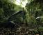 Crysis (Crytek) - Mapdownload: <a class="posRel pe-4" href="http://crymod.com/filebase.php?fileid=1463" target="_blank" rel="noopener " >GDC 06-Jungle<span class="icon extLinkIcon posAbs"></span></a> - Bilderquelle: <a class="posRel pe-4" href="http://www.nvnews.net/" target="_blank" rel="noopener " >nvnews<span class="icon extLinkIcon posAbs"></span></a>
