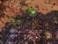 Starcraft-2-Spezial (44)