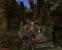 <strong>Gothic 2: Die Nacht des Raben</strong>: Auf Khorinis kommt es in letzter Zeit zu starken Erdbeben. Der Ursache versuchen die Wassermagier auf den Grund zu gehen und finden tatsächlich bei Ausgrabungen Überreste eines untergegangenen Volkes. Außerdem stellen sie fest, dass es einen Weg über die anfangs unüberwindbar geglaubten Berge gibt. Dort soll der Ursprung der Erdbeben liegen. Doch damit nicht genug! In der Hauptstadt, übrigens ebenfalls Khorinis getauft, verschwinden mehr und mehr Bewohner. Manche gehen davon aus, sie wären von der Insel geflohen. Andere vermuten, sie wurden entführt… Mysteriös! Und was hat es eigentlich mit dem Gerücht auf sich, Piraten hausten auf der Insel? Es liegt an Ihnen, es herauszufinden.