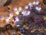 Screenshots aus Starcraft 2. (21)
