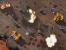 Screenshots aus Starcraft 2. (20)