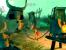 Rayman Raving Rabbids