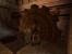 <strong>Tomb Raider 4: The Last Revelation</strong> (1999)