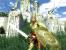 In The Elder Scrolls 4: Oblivion wartet eine gigantische Spielewelt darauf, vom Spieler erobert zu werden - Platz so weit die virtuellen Füße tragen konnten.
