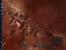 X 3: Terran Conflict (12)