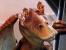 Platz 9: Jar Jar Binks aus "Star Wars: Episode I" - Jar Jar Binks ist einer der wohl umstrittensten Charaktere der Star Wars-Hexalogie. Mit seinem albernen Auftreten und absurder Komik steht er in einem scharfen Kontrast zum eher trockenen Humor des Droiden-Duos R2-D2 und C-3PO aus der Klassischen Trilogie, das sich bei den Fans nach wie vor großer Beliebtheit erfreut. Zu Erklären ist Jar Jars Erscheinen im ersten Teil der Prequel-Trilogie wohl mit der Tatsache, dass sich "Die dunkle Bedrohung" auch an eine recht junge Zielgruppe wendet. Bei kleineren Star Wars-Fans fand diese ungewohnt lustige Figur tatsächlich großen Anklang. Jar Jar Binks landet auf dem 6. Platz unserer Rangliste der im Computer erschaffenen Charaktere und Monster. Quelle::<a class="posRel pe-4" href="http://lucasfilm.com/" target="_blank" rel="noopener " >LucasFilm-ltd.<span class="icon extLinkIcon posAbs"></span></a> 