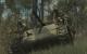 Call of Duty: World at War (dt.) erobert den ersten Platz der Saturn-Charts.