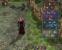 Sacred 2