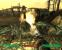 Gegner leveln nicht automatisch mit dem Spieler mit und können daher auch mal zu stark oder zu schwach sein. Meistens gilt Letzteres: Fallout 3 erschien uns insgesamt einen Tick zu leicht.